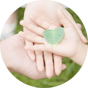 葬儀の流れをプランごとにご説明いたします